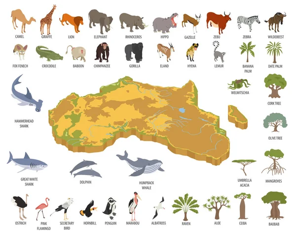 Piatto 3d isometrico Africa flora e fauna mappa elemento costruttore — Vettoriale Stock