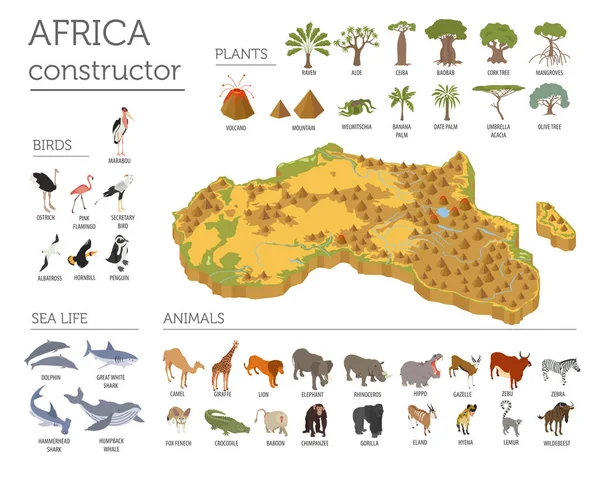 Επίπεδη 3d ισομετρική Αφρική χλωρίδα και πανίδα κατασκευαστή στοιχείο χάρτη — Διανυσματικό Αρχείο