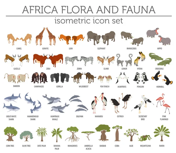 3D izometrik Afrika flora ve fauna harita Oluşturucu öğesi düz — Stok Vektör