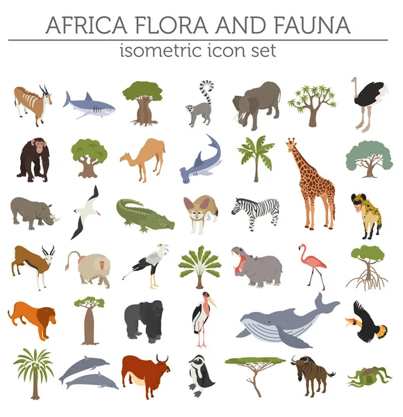 Flat 3d isometric Africa flora and fauna map constructor element — Stock Vector