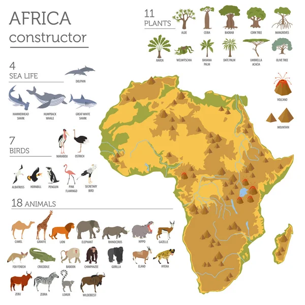 Plano África flora y fauna mapa elementos constructores. Animales, b — Vector de stock