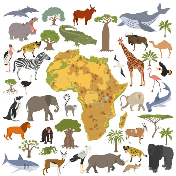 Konstruktor prvky mapovat plochý Afrika flóru a faunu. Zvířata, b — Stockový vektor