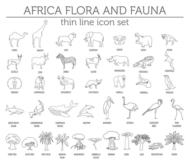 Linha fina África flora e fauna elementos. Animais, aves e se — Vetor de Stock