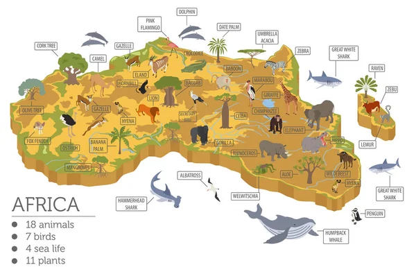Plano 3d isométrico África flora y fauna mapa elemento constructor — Vector de stock