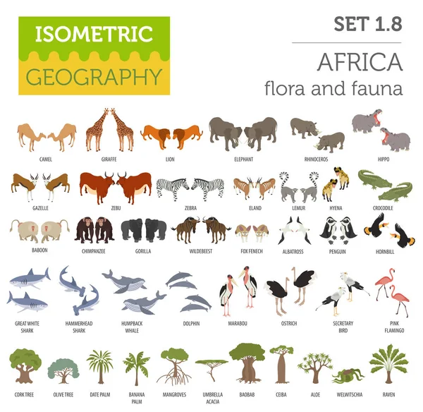 Lapos 3d izometrikus afrikai növény- és állatvilág kivitelező térképelem — Stock Vector