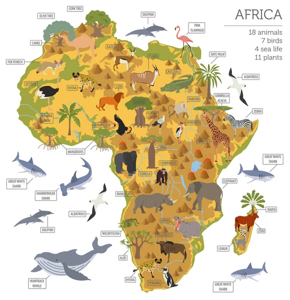 Plano África flora y fauna mapa elementos constructores. Animales, b — Vector de stock