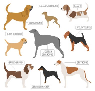 Av köpeği beyaz izole koleksiyonu bulunur. Düz stil