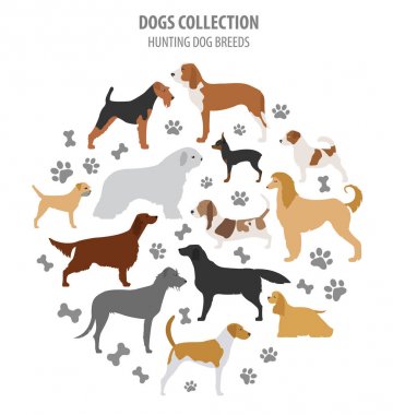 Av köpeği beyaz izole koleksiyonu bulunur. Düz stil