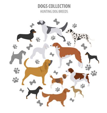 Av köpeği beyaz izole koleksiyonu bulunur. Düz stil