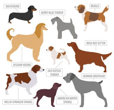 Av köpeği beyaz izole koleksiyonu bulunur. Düz stil