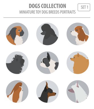 Minyatür oyuncak köpek ırkları beyaz izole koleksiyonu. Düz styl
