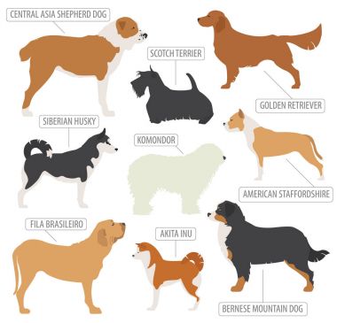 (İzlerken) çalışma köpek doğurmak koleksiyonu üzerinde beyaz izole. Düz