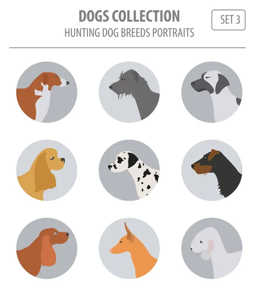 狩猎犬种上白色孤立的集合。平面样式 — 图库矢量图片