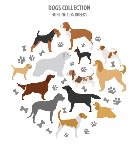 Lovecký pes plemena kolekce izolované na bílém. Plochý — Stockový vektor