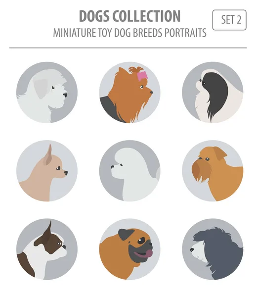 Miniatura perro de juguete razas colección aislada en blanco. Estilo plano — Vector de stock