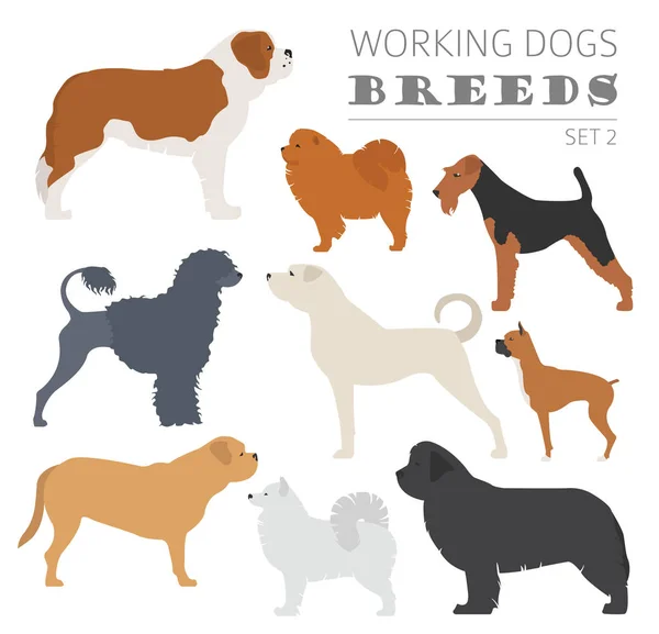 Lavorare (guardare) cane razze raccolta isolata su bianco. Piatto — Vettoriale Stock