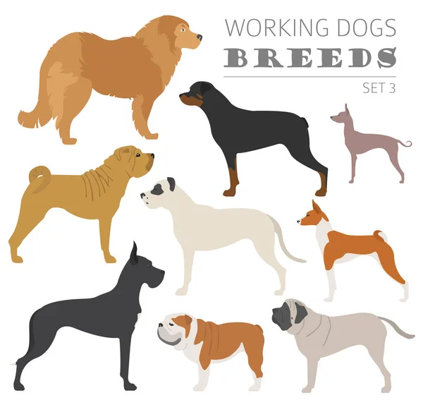 Werken (spotten) hond rassen collectie geïsoleerd op wit. Flat — Stockvector