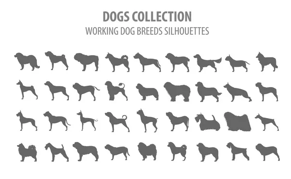 Working (watching) dog breeds collection isolated on white. Flat — Stock Vector