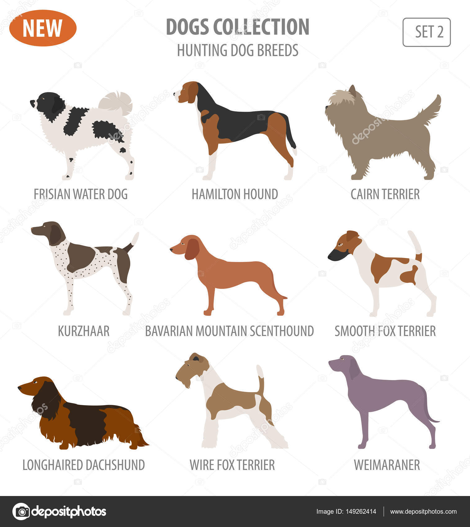 hunting dog breeders near me