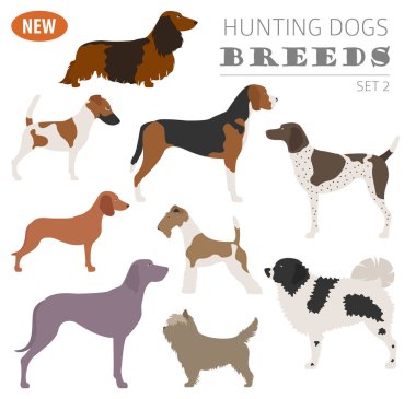 Köpek doğurmak avcılık üzerine beyaz izole Icon set. Düz stil