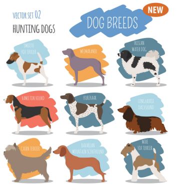 Köpek doğurmak avcılık üzerine beyaz izole Icon set. Düz stil
