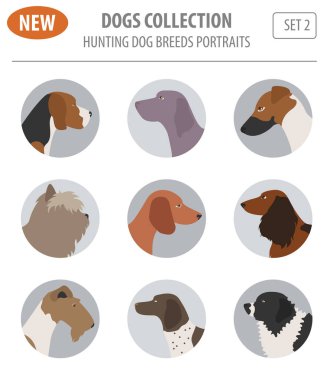 Köpek doğurmak avcılık üzerine beyaz izole Icon set. Düz stil