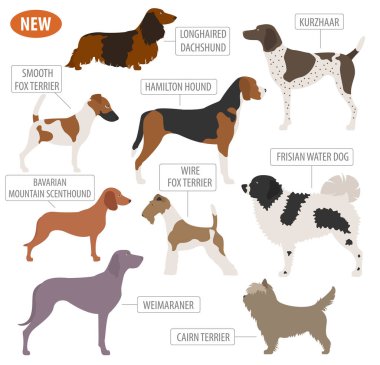 Köpek doğurmak avcılık üzerine beyaz izole Icon set. Düz stil