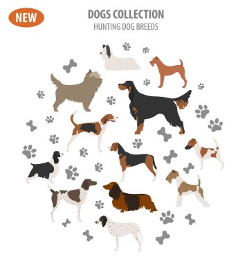 Köpek doğurmak avcılık üzerine beyaz izole Icon set. Düz stil