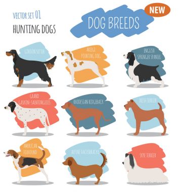 Köpek doğurmak avcılık üzerine beyaz izole Icon set. Düz stil