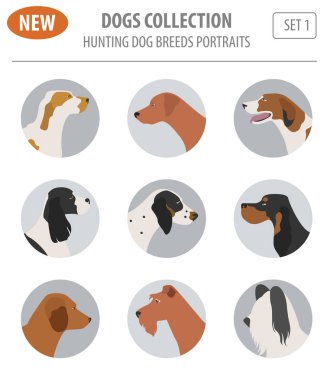 Köpek doğurmak avcılık üzerine beyaz izole Icon set. Düz stil