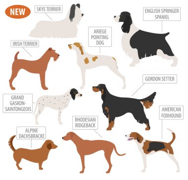 Köpek doğurmak avcılık üzerine beyaz izole Icon set. Düz stil