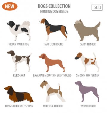 Köpek doğurmak avcılık üzerine beyaz izole Icon set. Düz stil