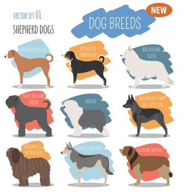 Çoban köpeği ırkları, sheepdogs beyaz izole Icon set. Düz