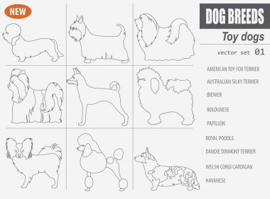 Minyatür oyuncak köpek doğurmak, set simgesi üzerinde beyaz izole. Anahat, 
