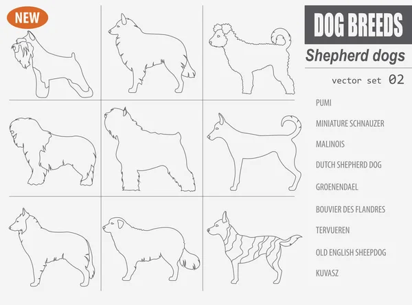 양치기 개 품종, sheepdogs 흰색 절연 하는 아이콘을 설정 합니다. Outli — 스톡 벡터