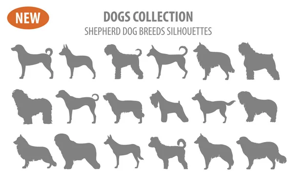 Schäferhunderassen, Schäferhunde setzen Ikone isoliert auf weiß. flach — Stockvektor