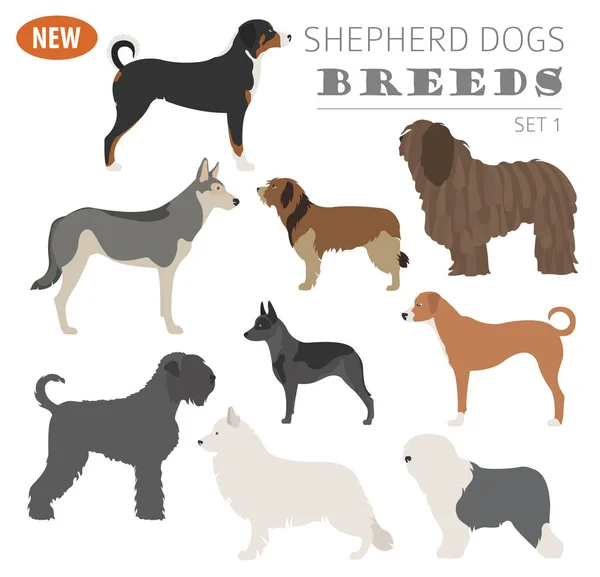 Çoban köpeği ırkları, sheepdogs beyaz izole Icon set. Düz — Stok Vektör