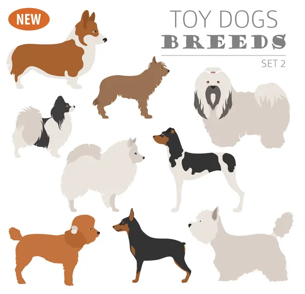 Miniature toy dog breeds, set icon isolated on white . Flat styl — Stock Vector