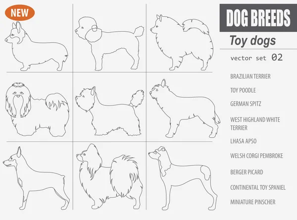 Raças de cães de brinquedo em miniatura, ícone definido isolado no branco. Esboço , —  Vetores de Stock