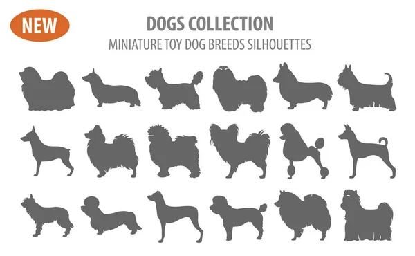 Razas de perros de juguete en miniatura, conjunto icono aislado en blanco. Estilo plano — Vector de stock