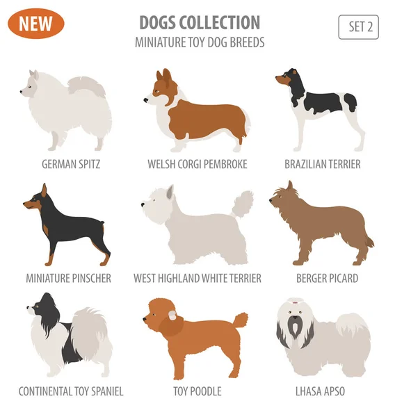 Miniaturní hračky plemen psů, nastavte ikonu izolované na bílém. Plochý styl — Stockový vektor