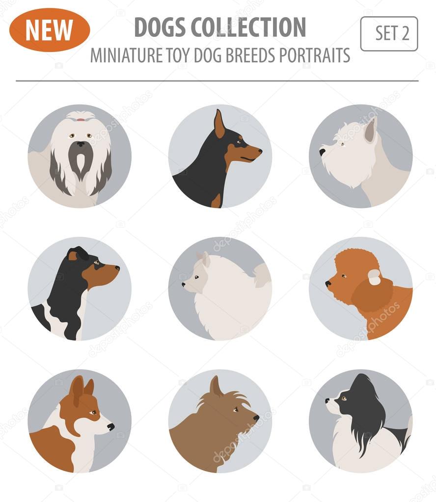 Miniature toy dog breeds, set icon isolated on white . Flat styl