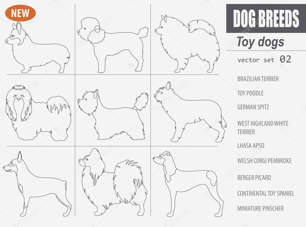 Miniature toy dog breeds, set icon isolated on white . Outline, 