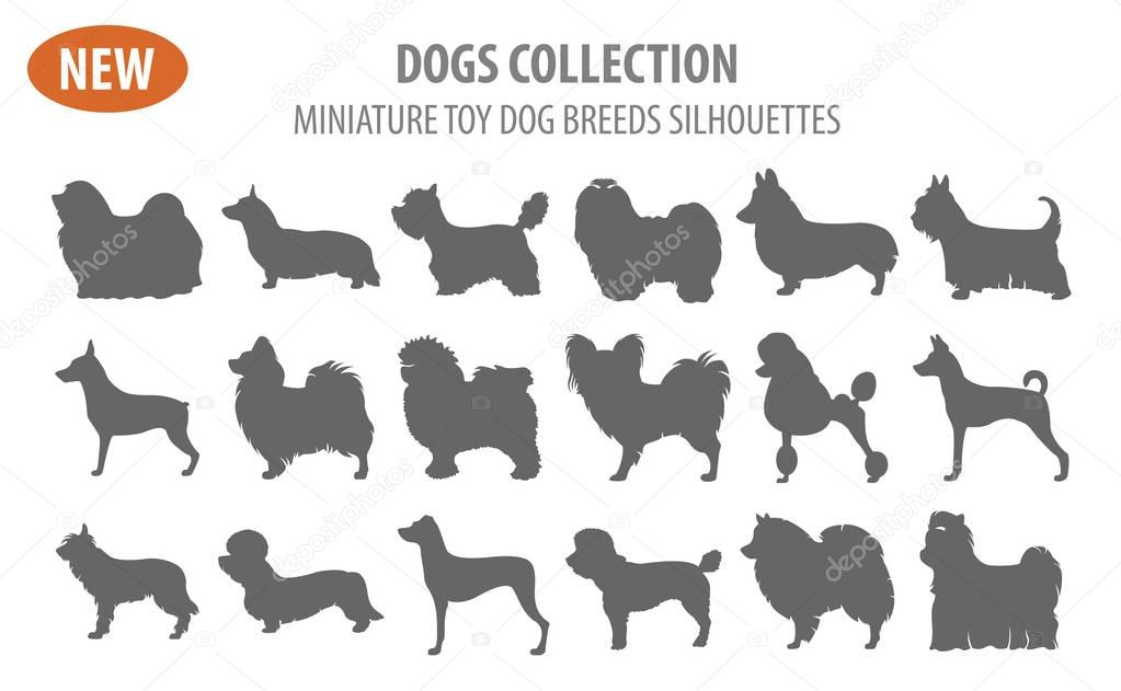 Miniature toy dog breeds, set icon isolated on white . Flat styl