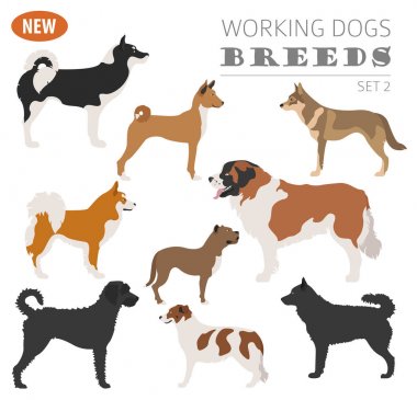 Köpek doğurmak, izlerken çalışma, üzerinde beyaz izole Icon set. Düz