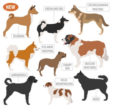 Köpek doğurmak, izlerken çalışma, üzerinde beyaz izole Icon set. Düz