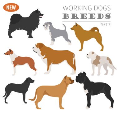 Köpek doğurmak, izlerken çalışma, üzerinde beyaz izole Icon set. Düz