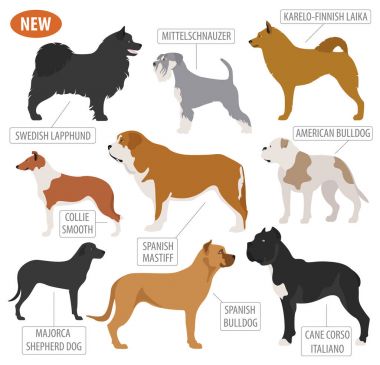 Köpek doğurmak, izlerken çalışma, üzerinde beyaz izole Icon set. Düz