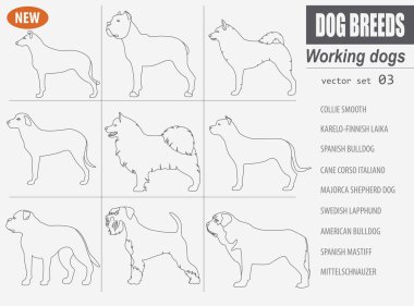 Köpek doğurmak, izlerken çalışma, üzerinde beyaz izole Icon set. Outli