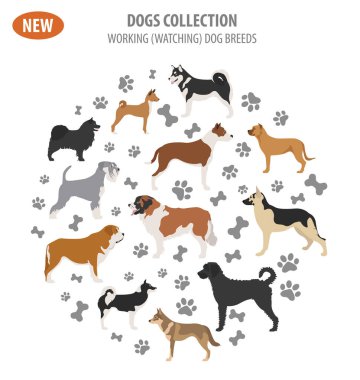 Köpek doğurmak, izlerken çalışma, üzerinde beyaz izole Icon set. Düz